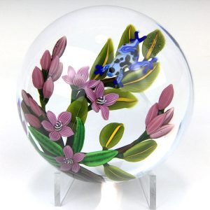 A Prince Unkissed – Blue Poison Dart Frog